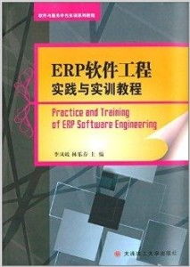 軟件與服務(wù)外包實訓(xùn)系列教程 ERP軟件工具與軟件外包服務(wù)